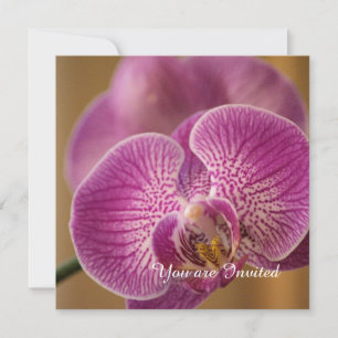 Pink Orchid Flower Birthday Invitation