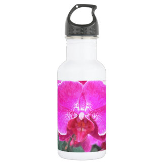 Pink orchid flower, floral photography 532 ml water bottle