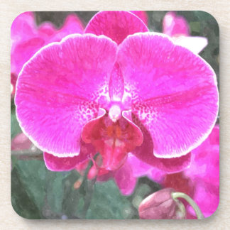Pink orchid flower, floral photography coaster
