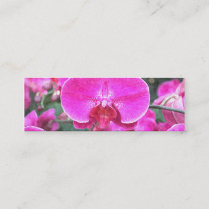 Pink orchid flower, floral photography mini business card
