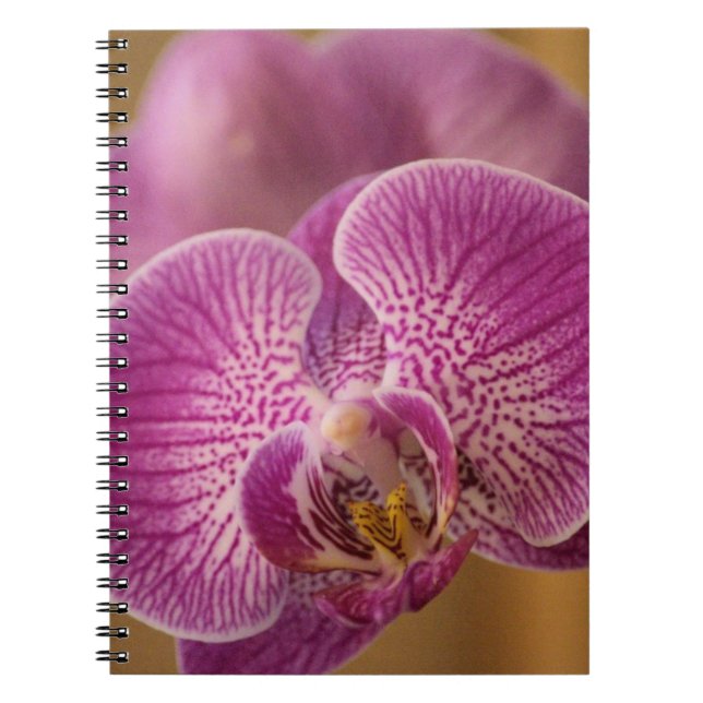 Pink Orchid Flower Spiral Notebook (Front)