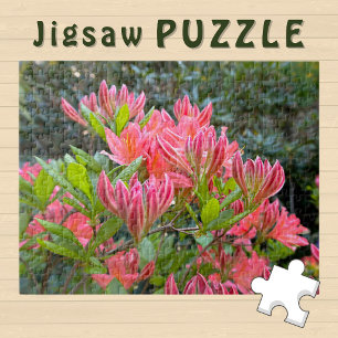 Pink Orchid Flowers blooming aesthetic Photo -  Jigsaw Puzzle