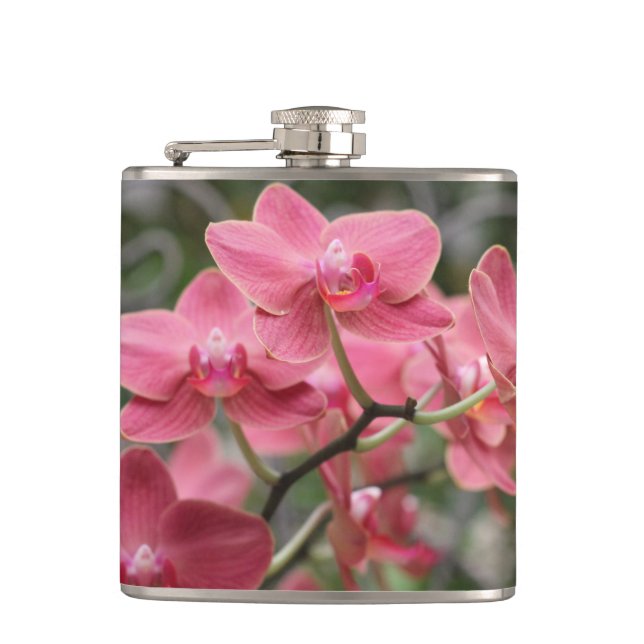 Pink Orchid flowers Hip Flask (Front)