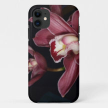 Pink Orchid Flowers iPhone 5 Case