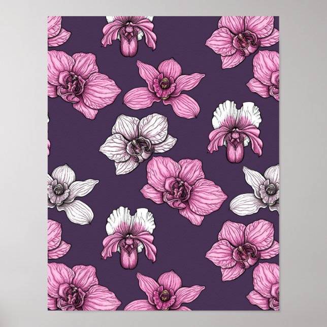 Pink orchid flowers poster (Front)