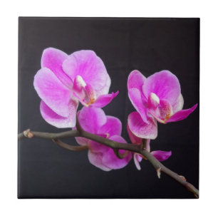 Pink Orchid Flowers Tile