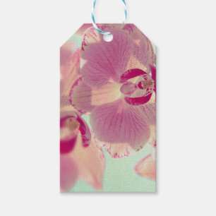 Pink Orchid Gift Tags
