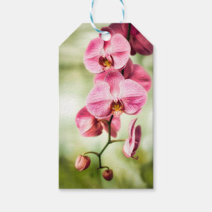 Pink Orchid Gift Tags