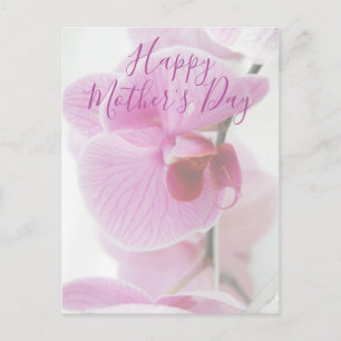 Pink Orchid Happy Mother's Day Postcard