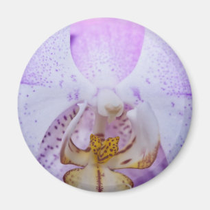 Pink Orchid Magnet