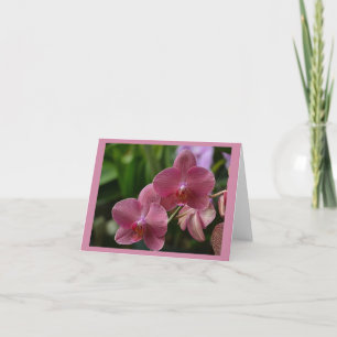 Pink Orchid Note Card