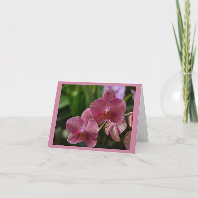 Pink Orchid Note Card (Front)
