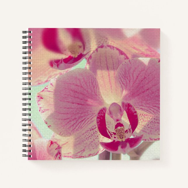 Pink Orchid Notebook (Front)