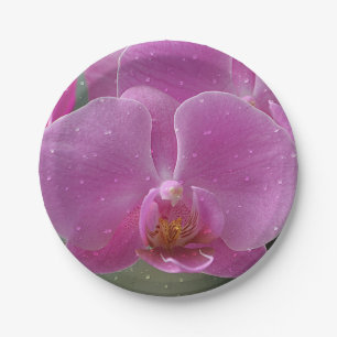 Pink Orchid paper Plate