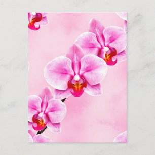 Pink Orchid Pattern Tropical Floral Soft Pastel Postcard