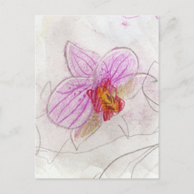 Pink Orchid Postcard (Front)