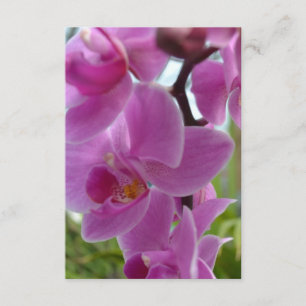 Pink Orchid R.S.V.P. RSVP Card