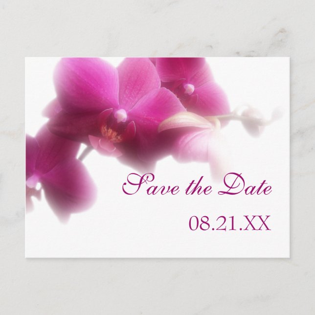 Pink Orchid Save the Date Announcement Postcard (Front)