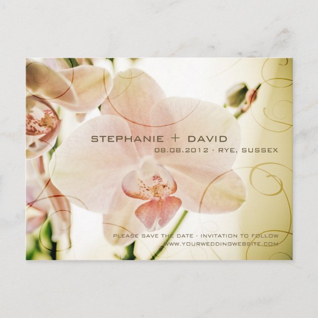 Pink Orchid • Save the Date Postcard (Front)