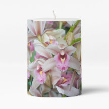Pink Orchids