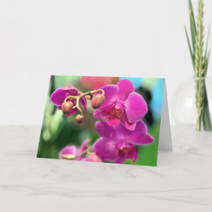 Pink orchids card