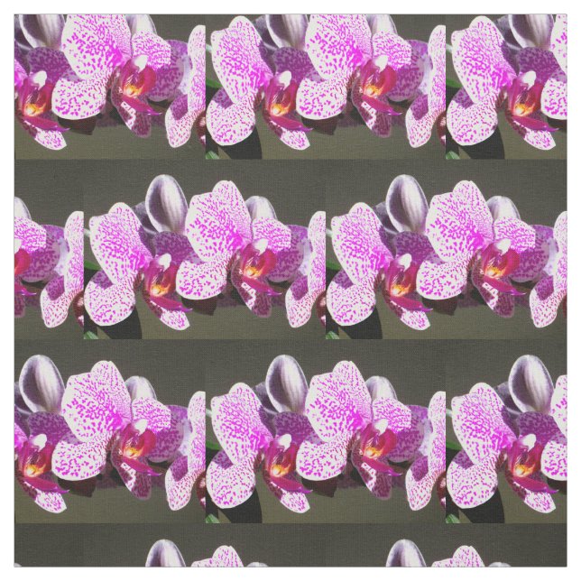 Pink Orchids Fabric (Swatch)