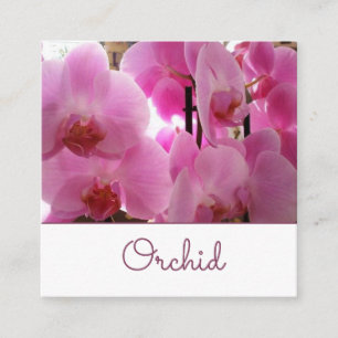 Pink Orchids Flowers Square Business Card