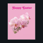Pink Orchids “Happy Easter” Postcard<br><div class="desc">Pink Orchids “Happy Easter” Postcard</div>