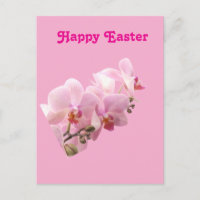 Pink Orchids “Happy Easter”