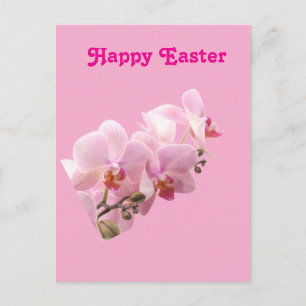 Pink Orchids “Happy Easter” Postcard
