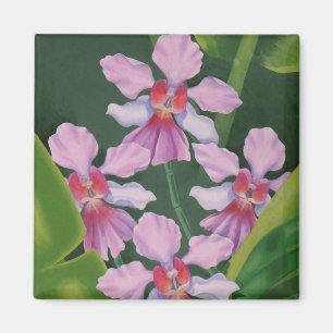 Pink Orchids Magnet