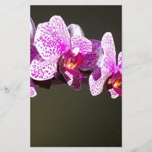 Pink Orchids, pink tropical flowers Stationery