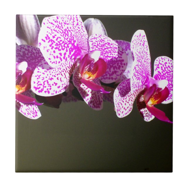 Pink Orchids pink tropical flowers Tile (Front)