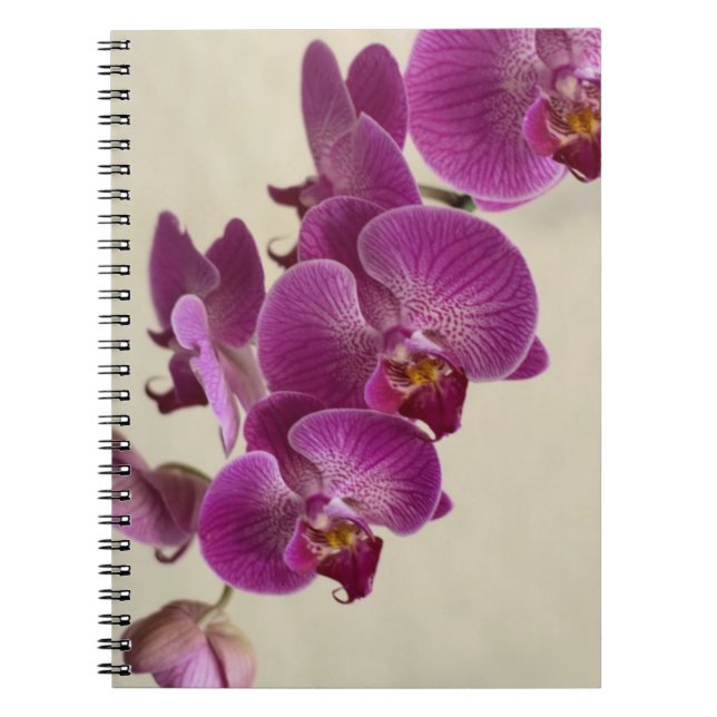 Pink Orchids Spiral Notebook (Front)