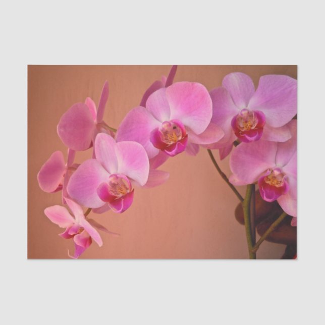 Pink Orchids Tissue Paper (Front)