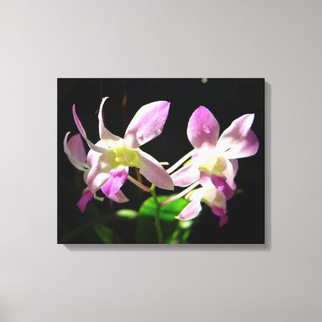 Pink Orchids Wrapped Canvas (Front)
