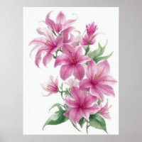 Pink Oriental Lily Flowers