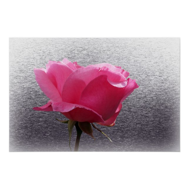 pink over grey poster (Front)