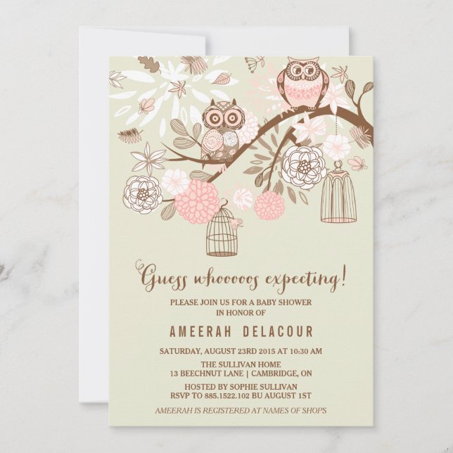 Pink Owls and Birdcages Baby Shower Invitation (Front)