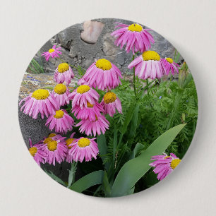Pink Painted daisy Flowers Nature photography  10 Cm Round Badge