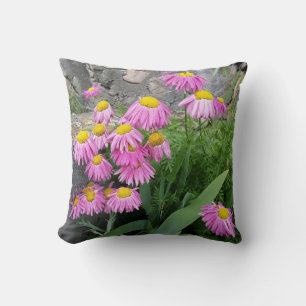 Pink Painted daisy Flowers Nature photography Cushion