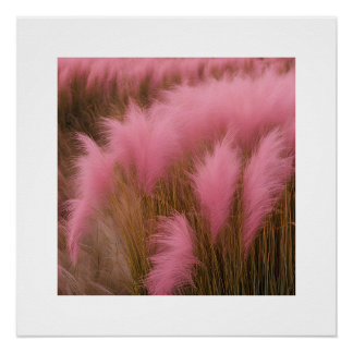 Pink Pam-pass Esthetic Poster Photography Girls 