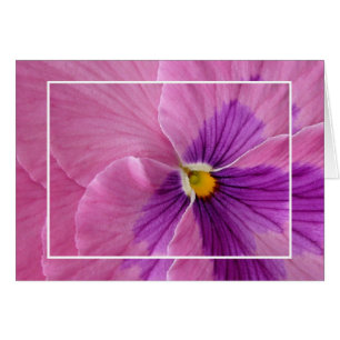 Pink Pansie Card