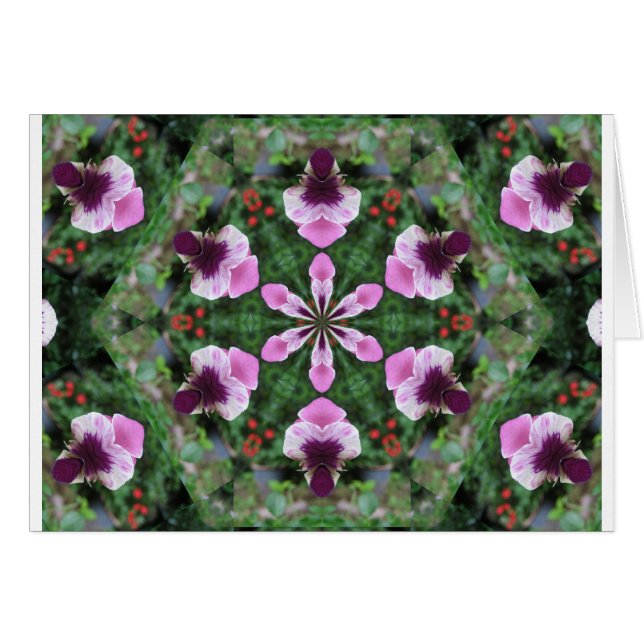 Pink Pansy (Front Horizontal)