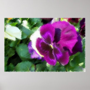 Pink Pansy Soft Sketch Poster