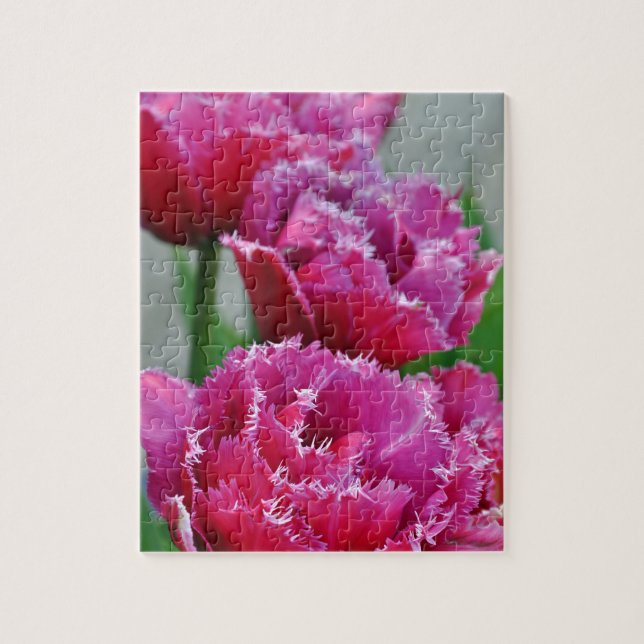 Pink parrot tulips jigsaw puzzle (Vertical)