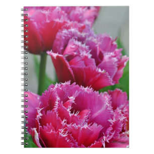 Pink parrot tulips spiral notebook
