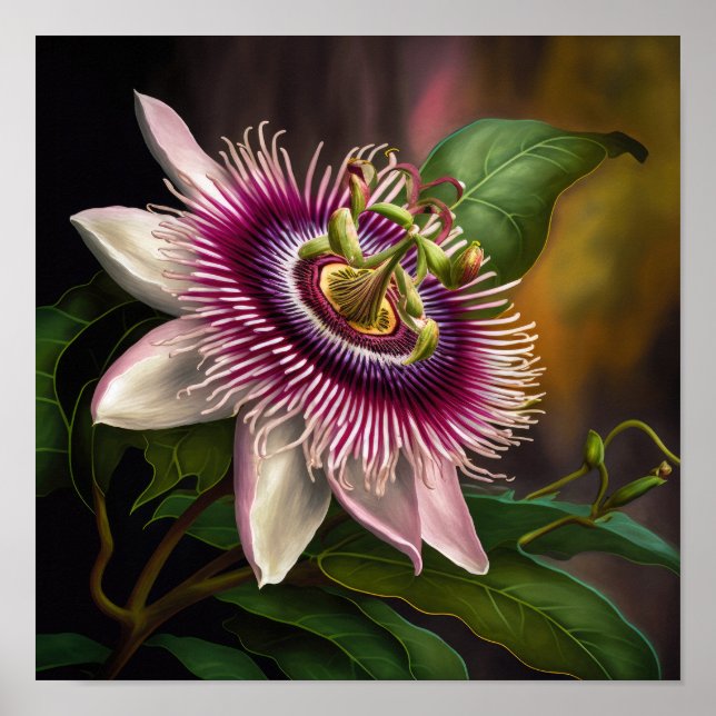 Pink Passion Flower Art Print Poster (Front)