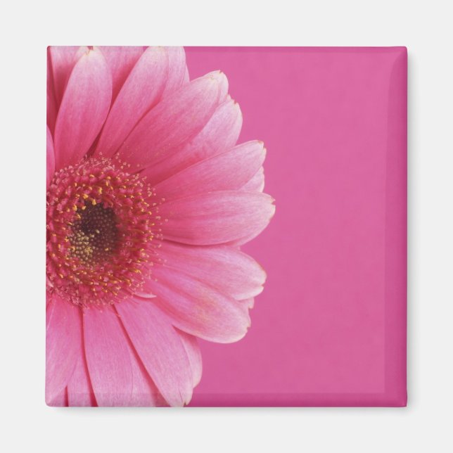 Pink Passion Magnet (Front)