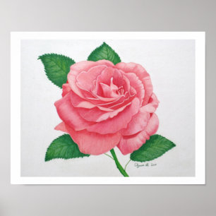 Pink Passion Print